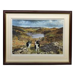 Steven Townsend (British 1955-): Sheepdogs, limited edition print signed and numbered in pencil 48cm x 71cm, together with three further large prints (4)