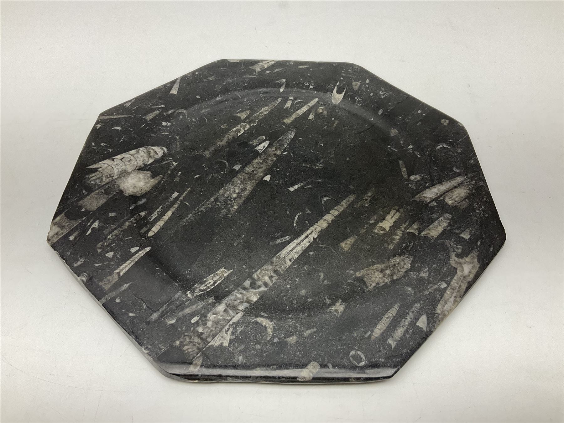 Four octagonal plates, each with Orthoceras and Goniatite inclusions, age: Devonian period, location: Morocco, D30cm