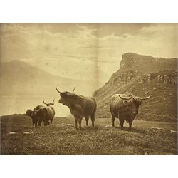 Charles Reid (Scottish 1837-1929): Highl