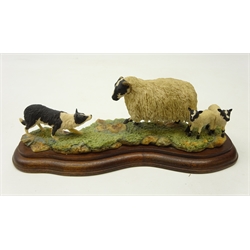  Border Fine Arts 'Scottish Black Faced Sheep with Collie' by Ray Ayres, on plinth, L29cm  
