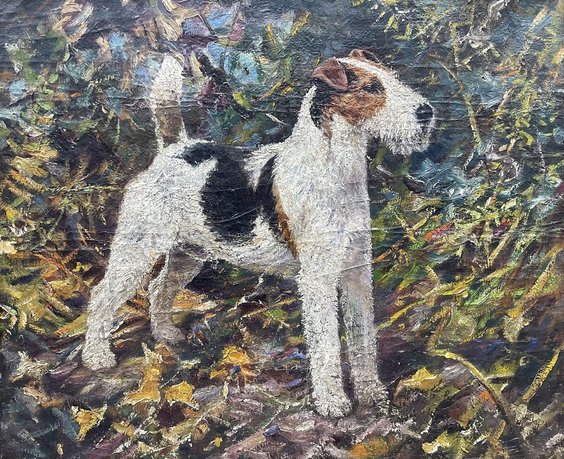 Frederick Thomas Daws (British 1878-1956): Wire Fox Terrier, oil on canvas unsigned 50cm x 61cm