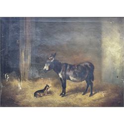 English School (19th Century): Donkey and Dog in a Stable, oil on canvas signed 'J Wheeler' 36cm x 49cm 