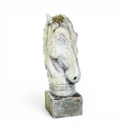 Large weathered cast stone horse head figure, raised on square plinth