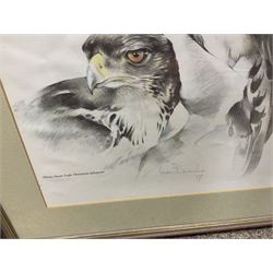 After Joan Beuche (South African 20th century) Eagles, set of six coloured prints (6)