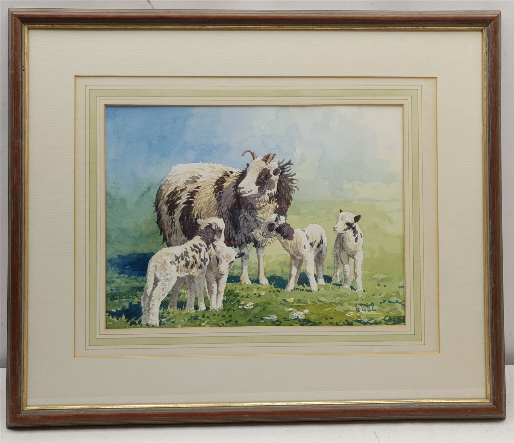 Simon Bull (British 1958-): Ram and Lambs, watercolour signed 27cm x 36cm