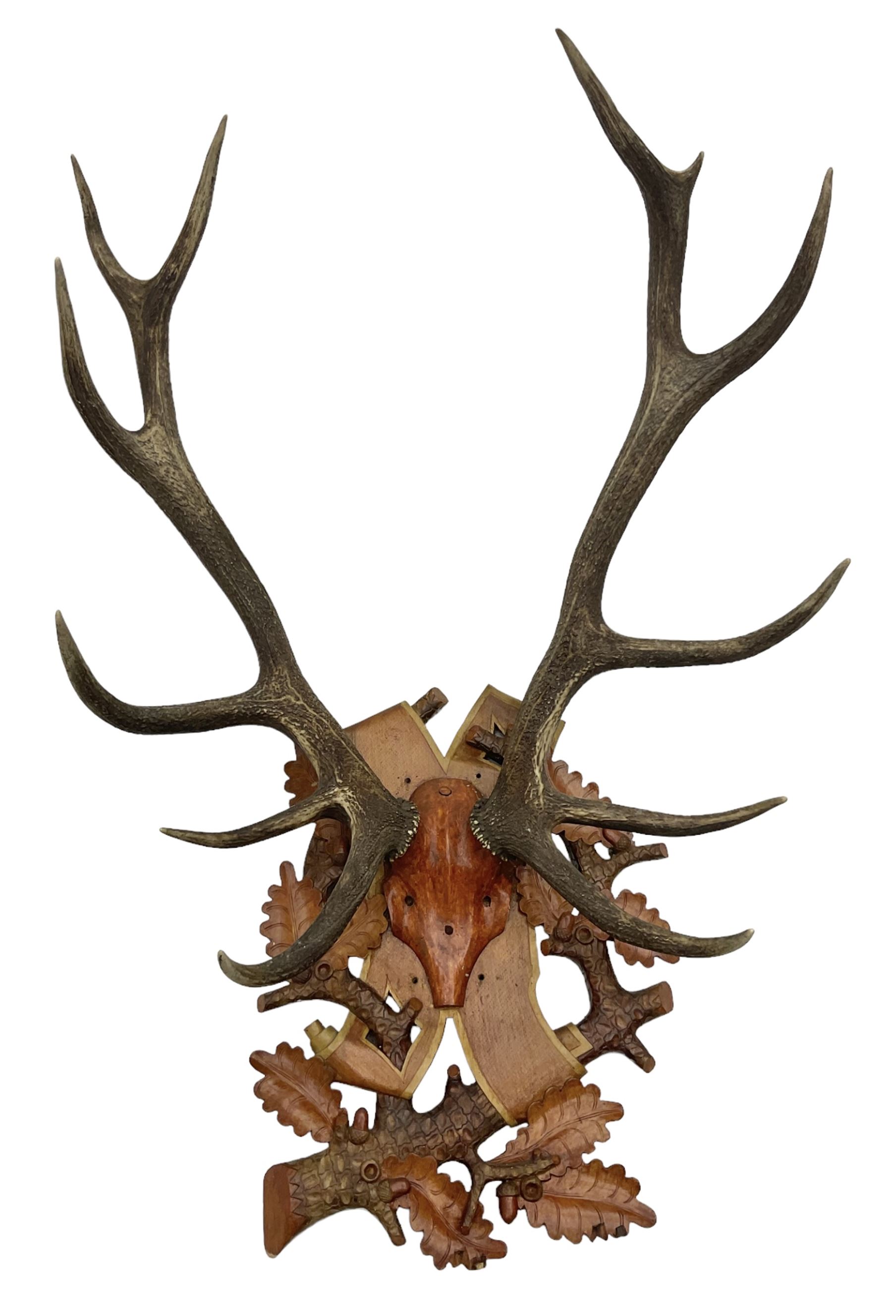 Antlers/Horns: European Royal Red Deer Antlers (Cervus elaphus hippalaphus), twelve point antlers, mounted upon a carved and pierced shield H120cm D64cm
