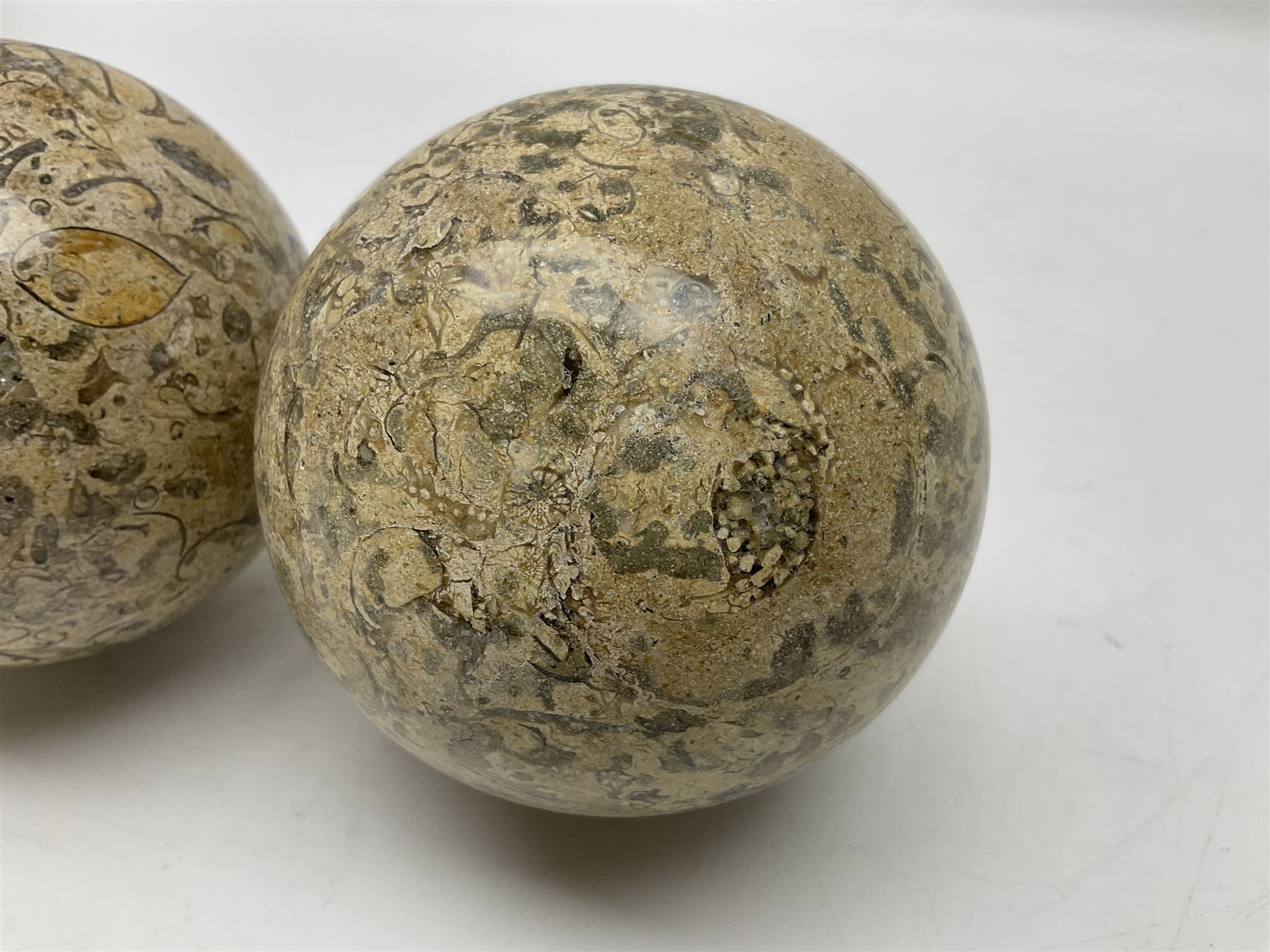 Pair of fossilised coral spheres, D12cm