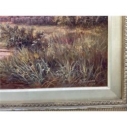 Sidney Yates Johnson (British fl.1890-1926): Farm Pastures at Dusk, oil on canvas signed and dated 1900, 44cm x 80cm