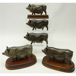 Five Royal Doulton 'Vietnamese Pot Belly Pigs', two on wooden plinths (5)