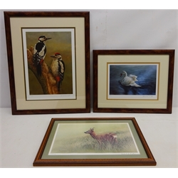  Great Spotted Woodpecker, Mute Swan and Roe Deer, three limited edition colour prints signed and numbered in pencil by Robert E Fuller (British 1972-) max 34cm x 24cm (3)   