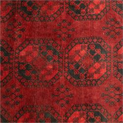 Turkmen Bokhara carpet, with a deep red field and repeating rows of black gul motifs, within multiple geometric borders