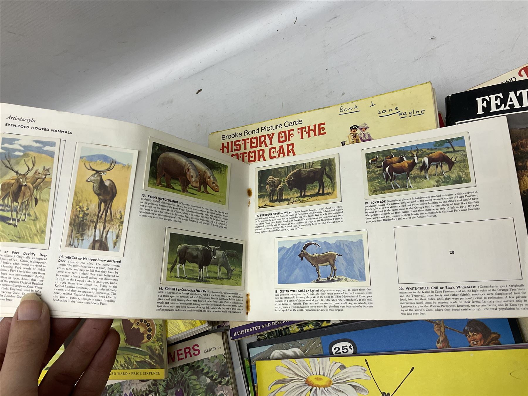 Over eighty trade card albums by Brooke Bond, Lyons, PG Tips, Hornimans, Ty-Phoo etc including some duplicates; and large quantity of loose trade cards