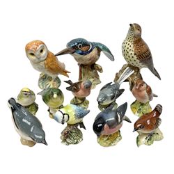 Group of Beswick figures of birds, comprising kingfisher no 2371, thrush no 2308, owl no 2026, and nine smaller bird figures to include greenfinch, wren etc