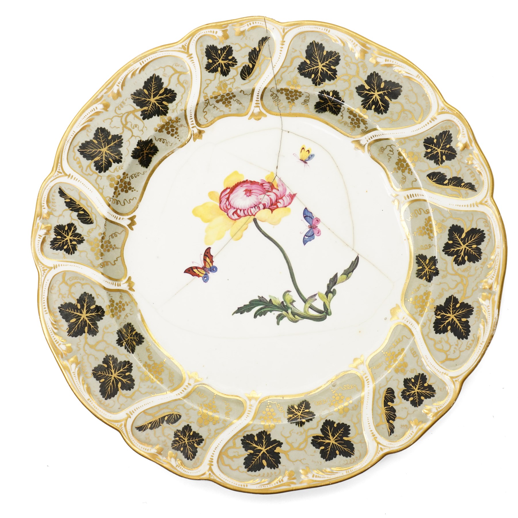 Set of fourteen mid 19th century Derby dessert plates, each painted with a named botanical subject and butterflies within a leaf pattern and gilt border
