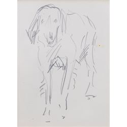 John Atkinson (Staithes Group 1863-1924): Studies of Dogs, two pencil sketches unsigned 7.5cm x 12cm 
