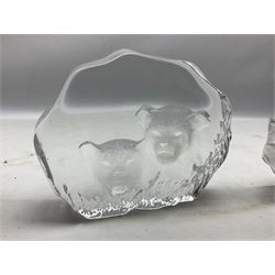 Two Mats Jonasson, Sweden paperweights, comprising polar bear in ice cave no 3152 and lion cubs, both with etched marks beneath, tallest H11.5cm