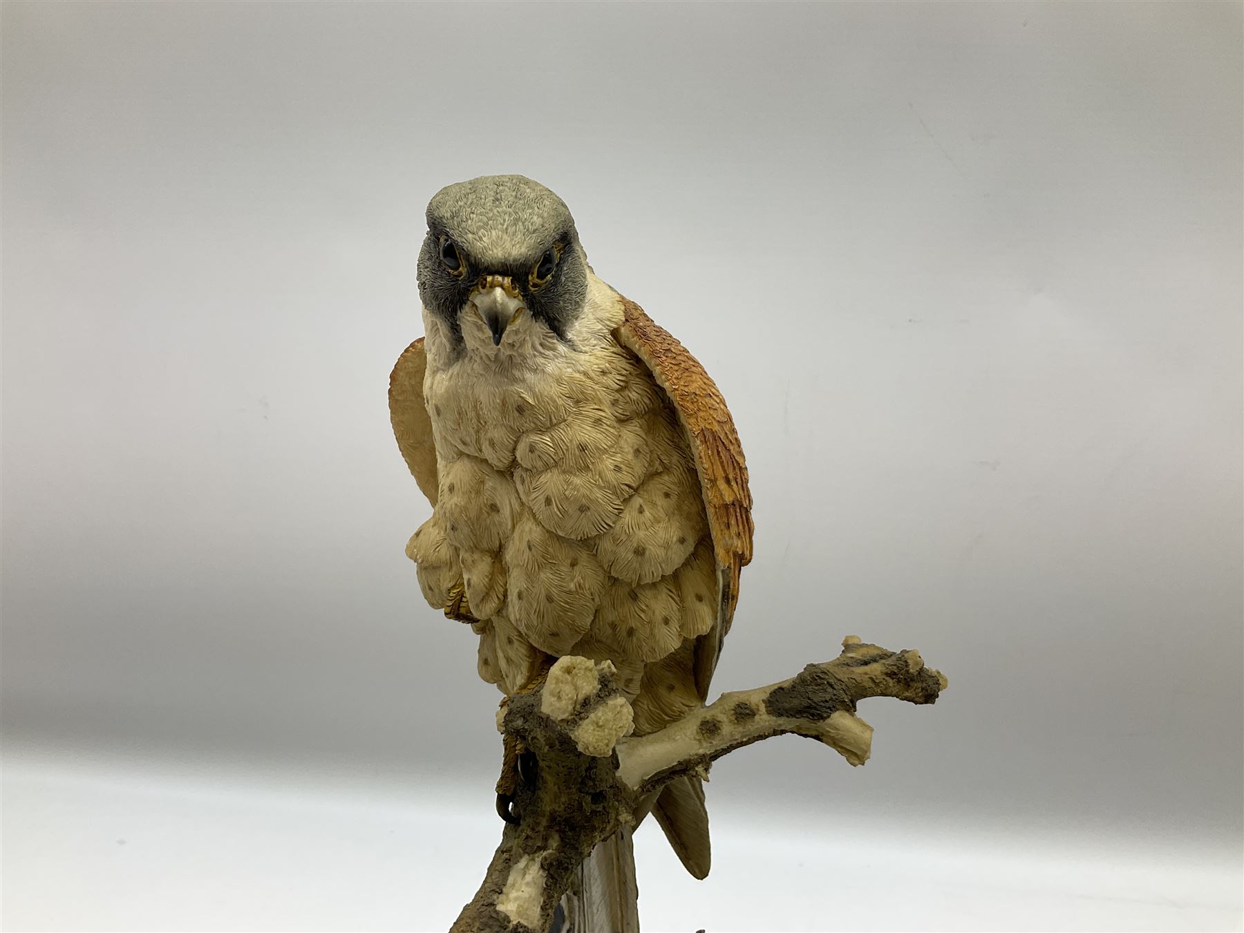 Country Artists figure of a peregrine falcon ' Lord of the Skies ' by David Ivey, limited edition, H44cm, together with two Sherratt and Simpson figures, both of peregrine falcons perched on branches. 