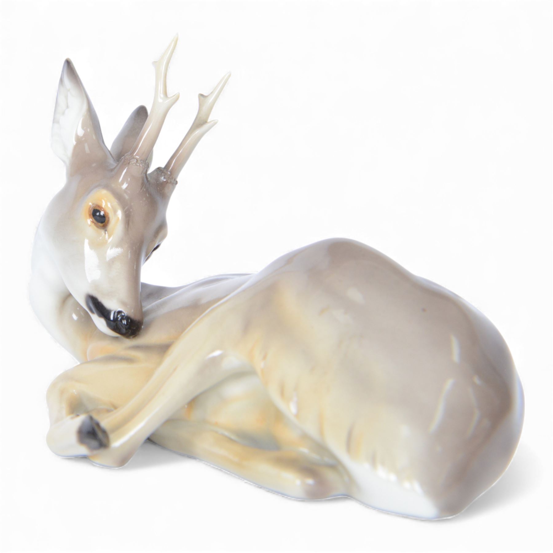 Nymphenburg, recumbent roebuck, model no. 423, with impressed mark beneath, H14cm