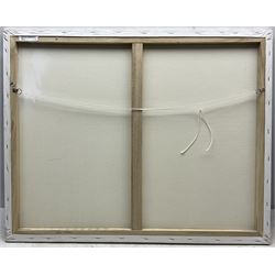 Neil Tyler (British 1945-): 'Dusk - Istanbul', oil on canvas signed and dated '06, titled verso 61cm x 76cm 
Notes: to be sold in aid of the Turkey-Syria Earthquake Appeal