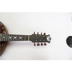 Windsor resonator 8-string Zither Mandolin or Banjolin, manufactured in Newhall street Birmingham, c1930. in a velvet lined hard case.