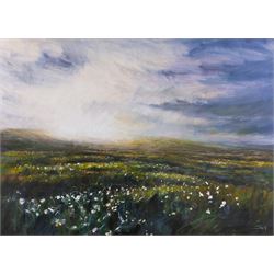 Jim Miller Wright (Scottish 1954-): 'Cotton Grass on Farndale Moor' North York Moors, oil ...