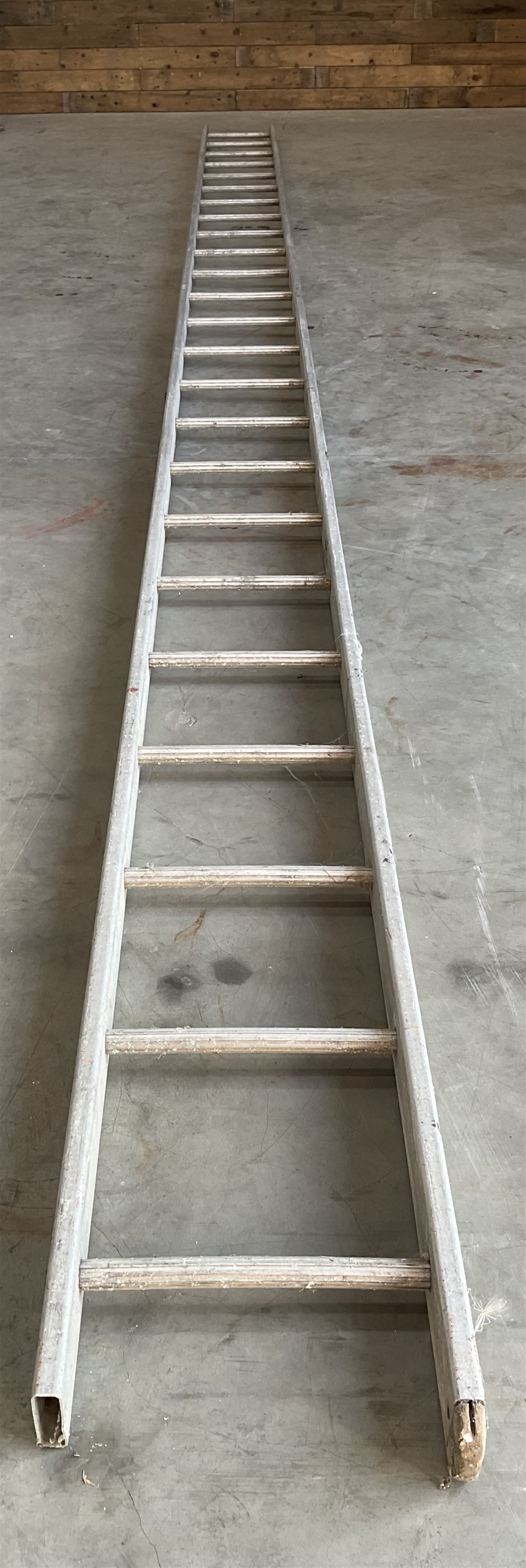 Ramsay 24 rung 2.4m single ladder