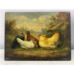 A Jackson (British 19th century): Farmhouse Chickens, oil on mahogany panel signed and dated '86,  18cm x 24cm (unframed)