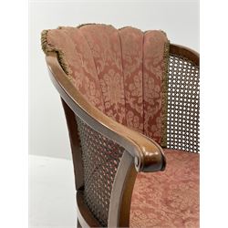 Early to mid 20th century walnut armchair, fan upholstered back upholstered in floral patterned fabric, cane work sides and seat with upholstered seat cushion, shell carved cabriole front supports with carved ball and claw feet