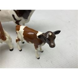 Five Beswick figures of cattle Comprising Ayrshire Bull Ch Whitehill Mandate, no 1454B, three Ayrshire Cow Ch Ickham Bessie, no 1350 and Ayrshire Calf, no 1249B, all with printed marks beneath