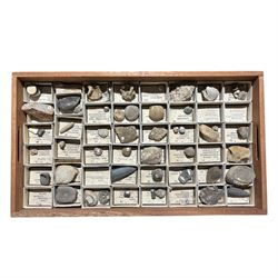 19th century box holding a collection of British Fossils, with makers label to the lid 'Collection of British Fossils to illustrate the textbooks and manuals of geology by Lyell, Page, Green & C, Arranged stratigraphically by James R. Gregory & Co mineralogisits .....', all samples numbered with and scribed name labels    
