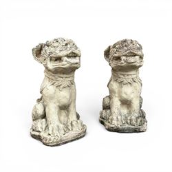Pair of cast stone garden dogs of foo