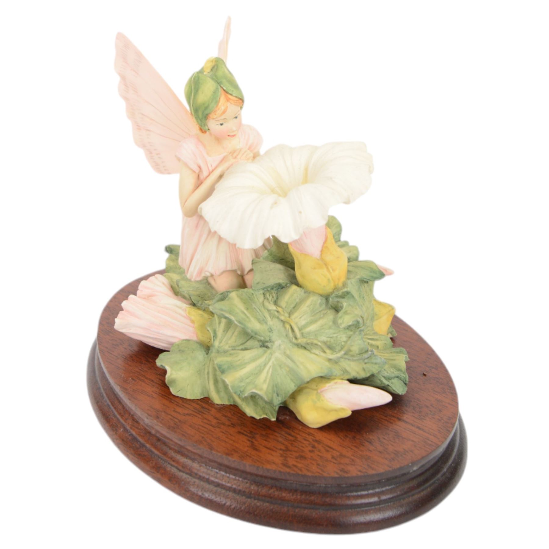 Nine Border Fine Arts Fairies figures, to include Jasmine fairy B0415, The White Bindweed Fairy CF26, Holly Fairy B0417,Wild Cherry Fairy CF25, Strawberry Fairy B0115, The Wind-Flower Fairy B0847, and Narcissus Flower Fairy CF24