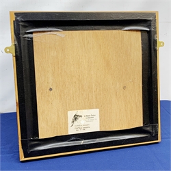 Taxidermy: 20th century cased pair of Little Auks (Alle alle), full mounts standing upon a simulated rocky ledge, set against a light blue painted backdrop, encased within a five pane display case with frame mount, with taxidermy paper label verso detailed David Astley Taxidermist, H38cm L40cm D12.5cm 