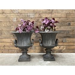 Pair of cast iron Campana garden urns