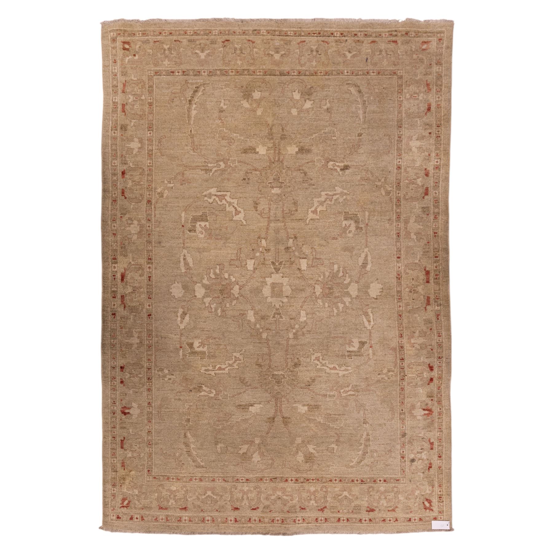 Afghan Ziegler hand-knotted carpet, soft ivory field woven with an elegant arrangement of scrolling vines and stylized palmettes with a central medallion, palette in muted tones of beige, terracotta, and blush pink, within a broad complementary border of angular floral devices and reciprocal guard stripes, fringe ends