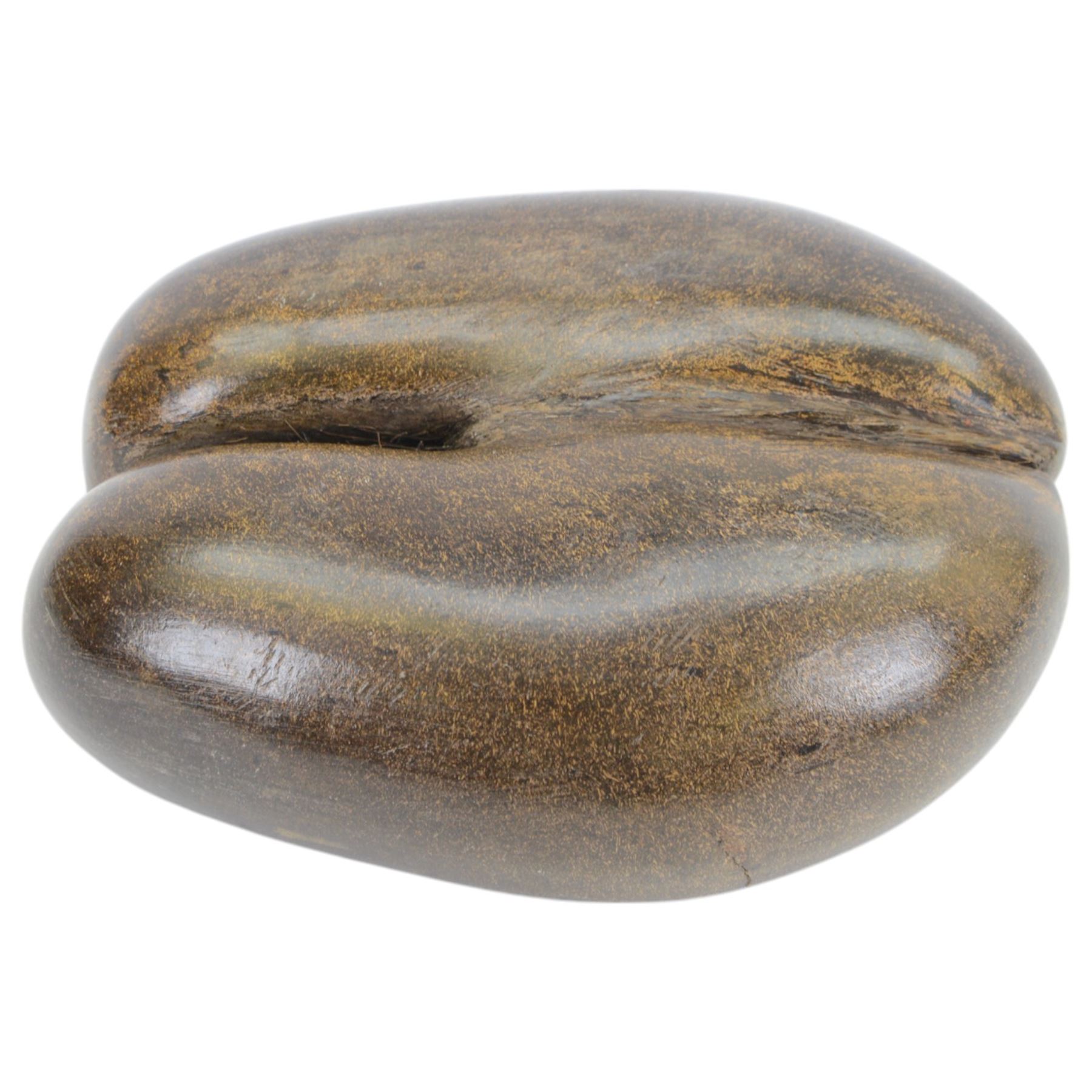 Coco de Mer shell | Fossils, Minerals & Natural Sciences | 128150