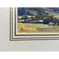 Rowland Henry Hill (Staithes Group 1873-1952): Cattle near Goathland, watercolour signed and dated 1926, 19cm x 28cm