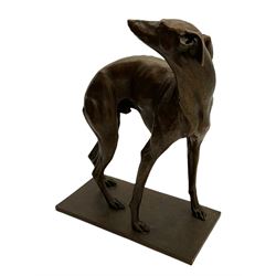 Sally Arnup FRBS, ARCA (1930-2015): Whippet Standing, bronze, signed and numbered VIII/X, upon short rectangular plinth, overall H63cm L49cm W23.5cm 


