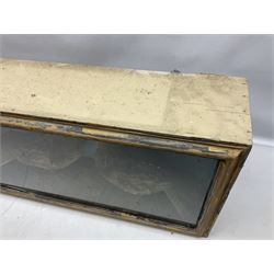 Taxidermy; Cased pair of Ruffed Grouse (Bonasa umbellus), male and female adult mounts, in a naturalistic setting, encased within a single pane display case, H39cm, L68cm