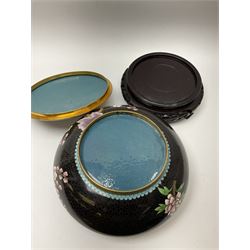 A Japanese cloisonne jar and cover, of squat form decorated with prunus blossom and birds in flight upon a black ground, with pierced wooden stand, jar D24cm.