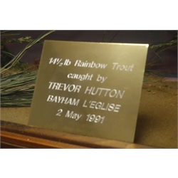 Taxidermy cast - Large Rainbow Trout in naturalistic underwater setting, with plaque '141/2 Rainbow Trout caught by Trevor Hutton Bayem l'Eglise 2 May 1991' in bow front case, W102cm, H49cm    