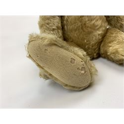 Early 20th century German Steiff large teddy bear c1907 with FF button to left ear, with wood wool filled blonde mohair body with humped back, the swivel jointed head with black boot button eyes, pronounced clipped muzzle and black vertically stitched nose and mouth and jointed elongated limbs with long arms and felt paw pads with black stitched claws, known as 'Sylvester' H24