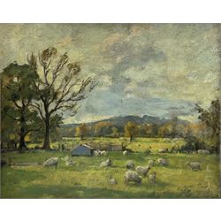 English School (Early 20th century): Sheep in Pastoral Landscape, oil on board indistinctly signed 53cm x 65cm