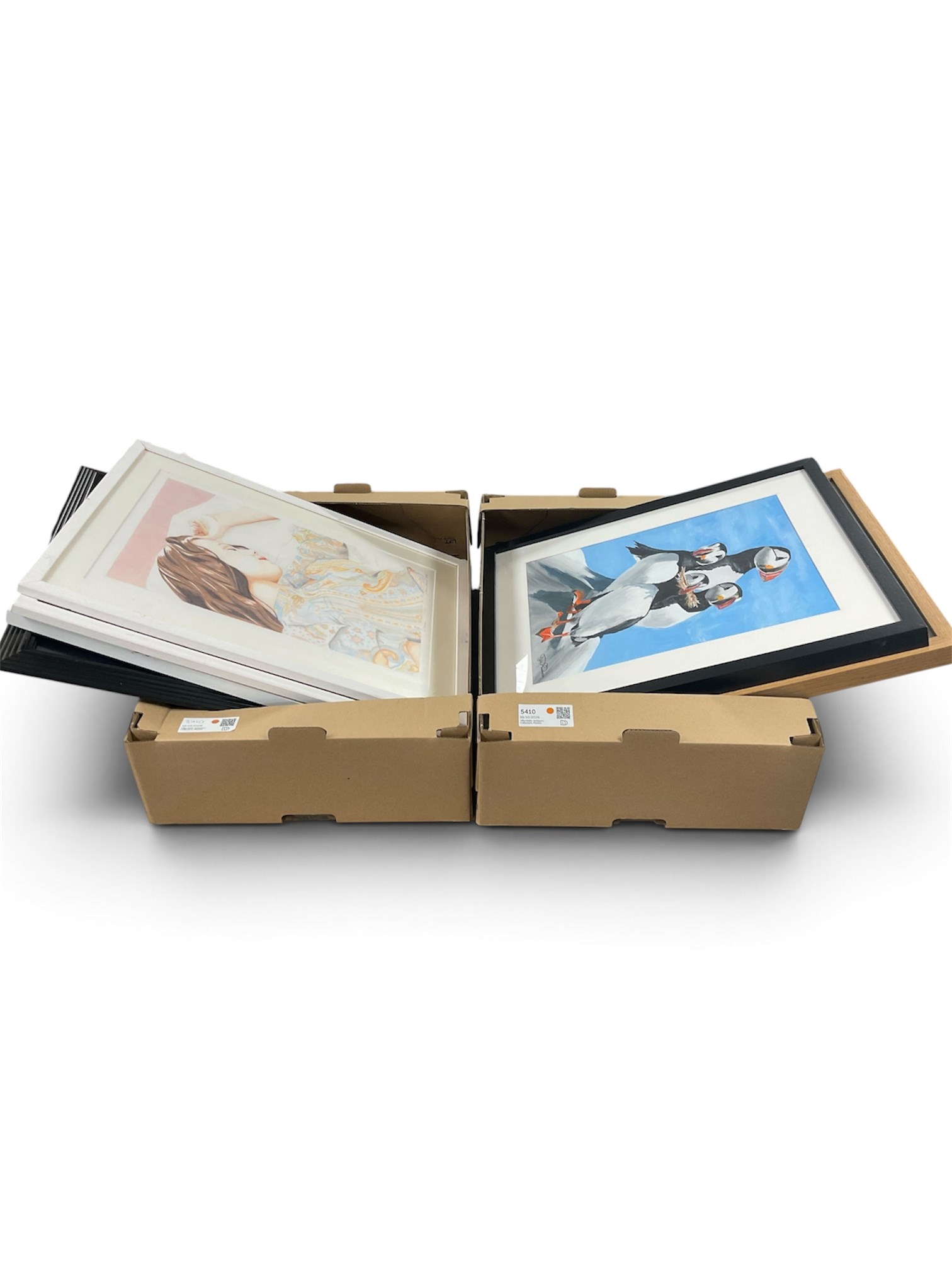 Collection of pictures, to include Victoria Woodward (British Contemporary): Female Portraits, three coloured pencil and watercolour respectively signed; English School (21st Century): Whimsical Animals, four acrylic on canvas board signed, and photographic print of an Eagle, max 50cm x 40cm (8)