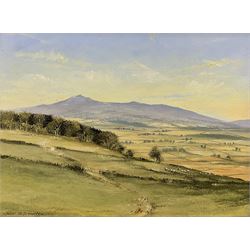 Peter M Drewett (British 1957-): 'Bennachie from the Hill of Barra', oil on canvas signed 29cm x 39cm