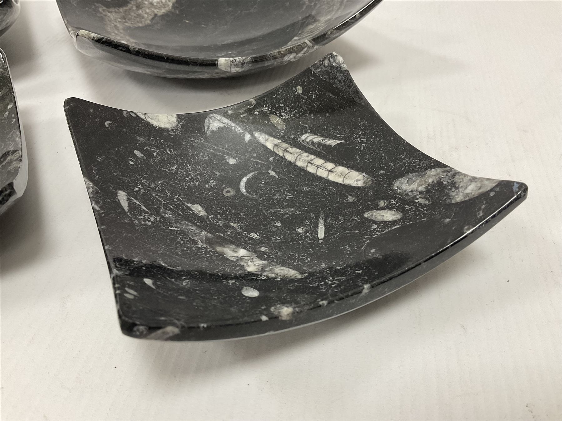 Set of four square dishes in two sizes, each with orthoceras and goniatite inclusions, age: Devonian period, location: Morocco, large dish D16cm