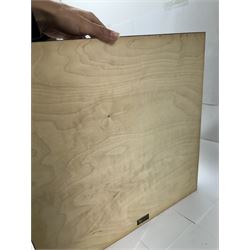 Entomology: Single glazed display of butterflies, circa 20th century, single glazed display containing twenty three various specimens, some with attached data labels, all pinned upon foam backing and named labels, enclosed within a glazed entomology drawer, H46cm, W46cm