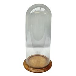 Glass dome display covers on a circular wooden base, H46cm