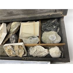 Natural history; Collection of fossils, to include fossilised shells, and ammonites and other molluscs, of various size and form