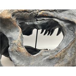 Composite model of a T-Rex dinosaur Skull, L50cms, H36cm 